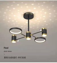 Model drop pendant lamp