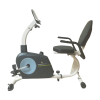 Recumbent Bike