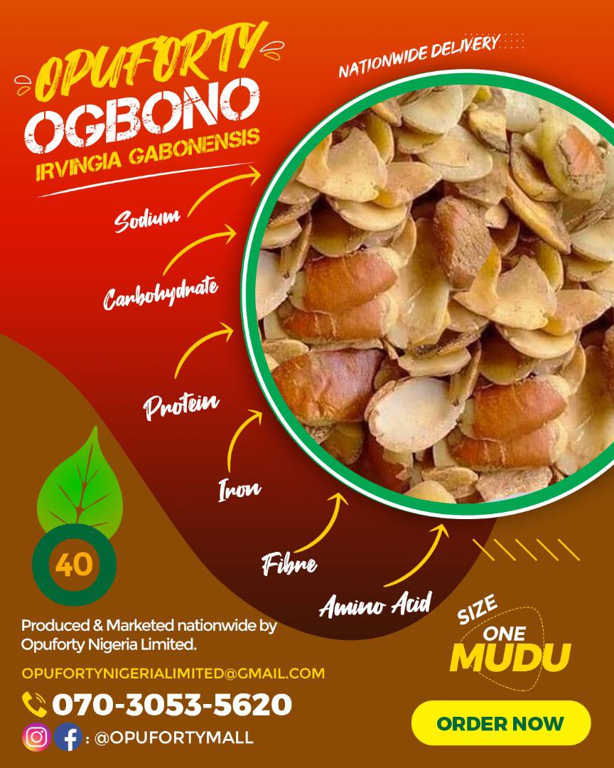 Ogbono(African Bush Mango) | NobleMart