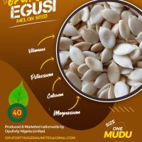 egusi seeds