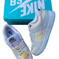 Nike SB sneakers