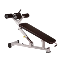 Sit-Up Bench-Regular